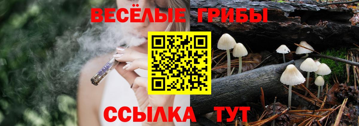 Галлюциногенные грибы мицелий Новокуйбышевск