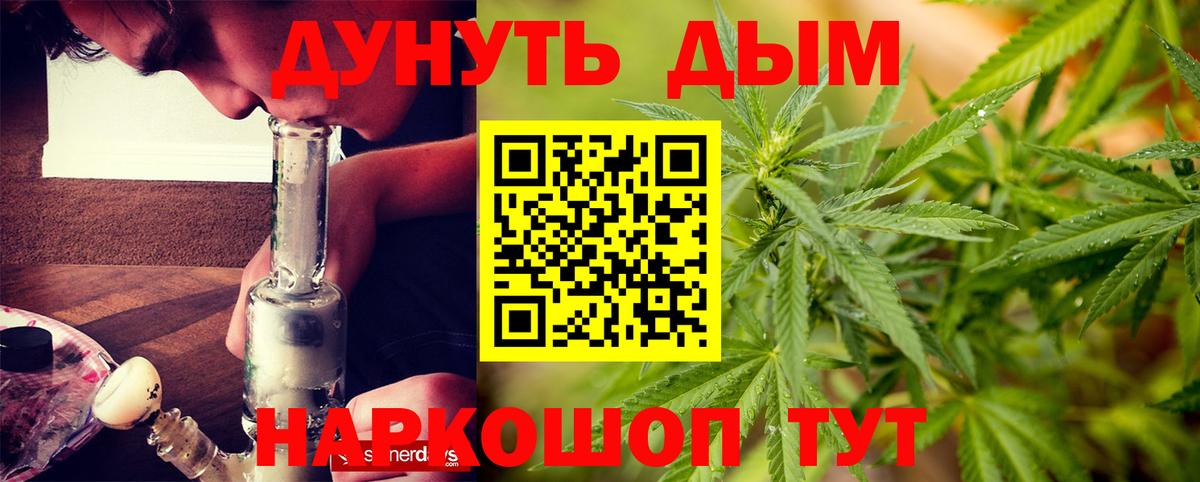 Шишки марихуана планчик  Вход с VPN  Новокуйбышевск  Бошки Шишки сатива 